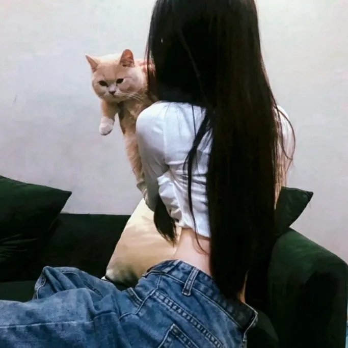 丑小鸭天鹅