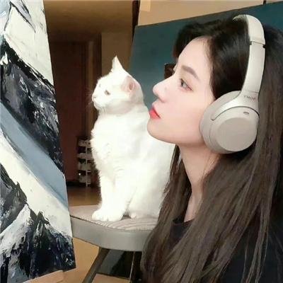 抱歉打扰